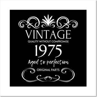 Vintage 1975 - Birthday Gift For Men Posters and Art